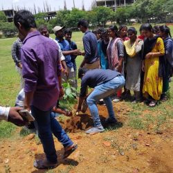 Plantation-Program(1)