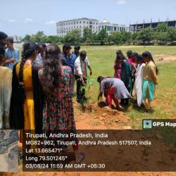Plantation-Program(2)