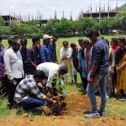 Plantation-Program(3)