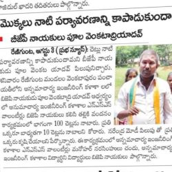 Plantation-Program(4)