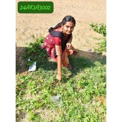 Swachh-Bharath(4)