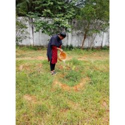 Swachh-Bharath(5)